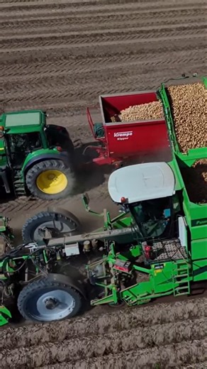 Harvesting Potatoes #harvest #agriculture#drone #farming #tractor #kartoffeln #AVR #aardappels #agri