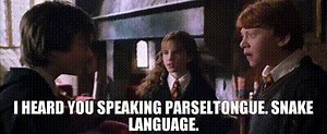 I heard you speaking Parseltongue. Snake language.