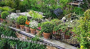 Other: Planting And Cultivating Balcony Plants - My Beautiful Garden | 2025