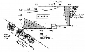 A Geotechnical Engineer’s Approach Towards Trees - Treenet