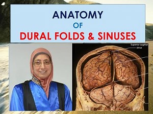 Anatomy of cranial dural folds & venous sinuses