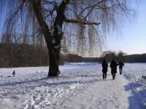 YouTube - Learn German - Lesson 13