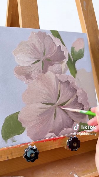 Spring Bloom: A Journey Through Floral Stages