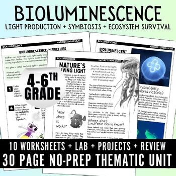 Bioluminescence Life Science no-prep unit, Symbiosis, Fireflies, luciferin, sub
