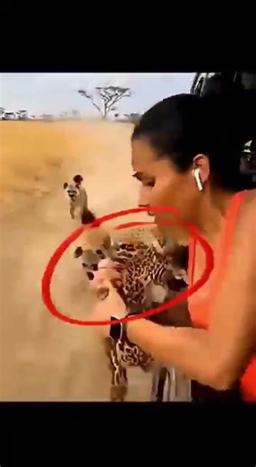 UNBELIEVABLE! 😱 Humans Saving Wild Animals In Extreme Situations! 🦁🐻