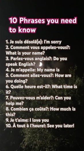 10 basic phrases in French #frenchforbeginners #basicfrench #frenchwithvinay #foryou #easyfrench