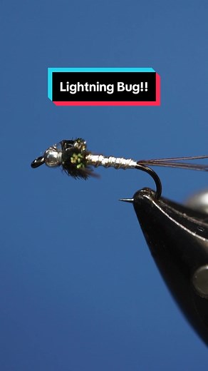 Lightning Bug Nymph!! Hook: @AhrexHooks FW561 size 16 Thread: @semperfli 12/0 classic Wax Tinsel: #semperfli holographic Wire: #semperfli 0.2mm silver Herl: #naturesspiritflytying peacock Tail and legs: #naturesspirit pheasant tail Resin: Bone Dry and thin #semperfli #semperfliworldwide #semperfliproteam #semperfliflytying #queensaward #magpieturkeybiots #magpiefinebeaverdubbing #whitingfarms #naturesspiritflytying #sightcastfishing #anadromousflycompany #lidrig #stonfoflytying #fly #flytyingjun