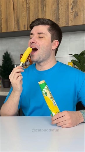 Cat Time Freeze Prank with Ice Cream#shorts #cats😺🍦🍭