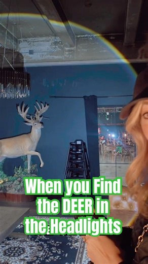 Found a Deer in the Headlights | Flashlight! #shorts