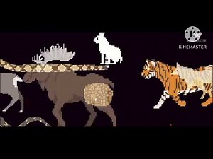 Animal stampede the kids picture show