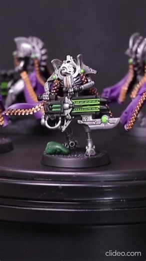 Royal Immortals Showcase