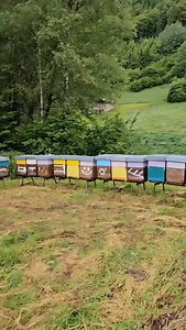 Apicoltori (2) ✅ Avant 220 ✅ Banchette ✅ Api ✅ Progetto ben riuscito !! #valledelchiese #borgochiese #condino #montagna #mountain #miele #mieledimontagna #apicolturarobertabutterini #giocare #game | Roberta Butterini