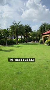 120K views · 1.4K reactions | The Golden Palm city | Property Master | Facebook