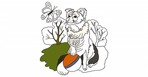 Collie coloring page ♥ Color Online!