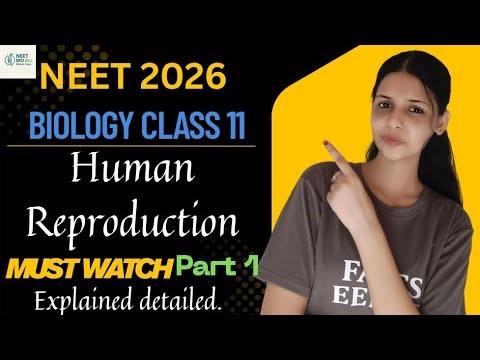 Human Reproduction | NEET 2026 Biology | Detailed Explanation | NCERT Highlight + Handwritten Notes