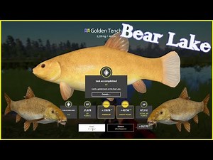 Russian Fishing 4 (RF4) FARMING SILVER SPOT ON BEAR LAKE! + TROPHY GOLDEN TENCH