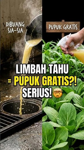 Don't Throw Away Tofu Water! Here Are the Benefits! 😱
