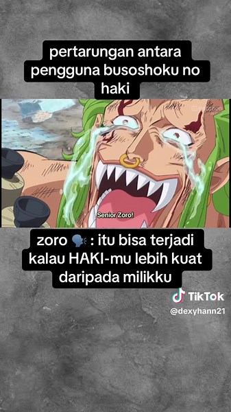 Zoro dan Busoshoku Haki: Pertarungan Kekuatan Haki