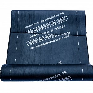 [Hot Item] 3mm 4mm Sbs Bituminous Waterproof Membrane for Waterproofing Roof