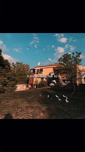 Kaisi Dillagi Hai Tu Kaisi Bebasi Hai Tu | Meri Zindagi Hai Tu song | Asim Azhar | #lyricsreels​