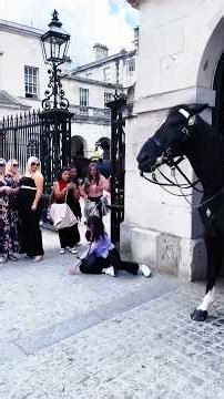 Please respect the king’s guard #kingsguard #respect #foryou #horse