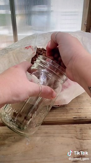 Potted Gem on TikTok