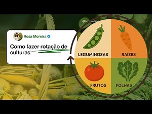 #10: Rotação de Culturas — Como, Porquê e Métodos Práticos