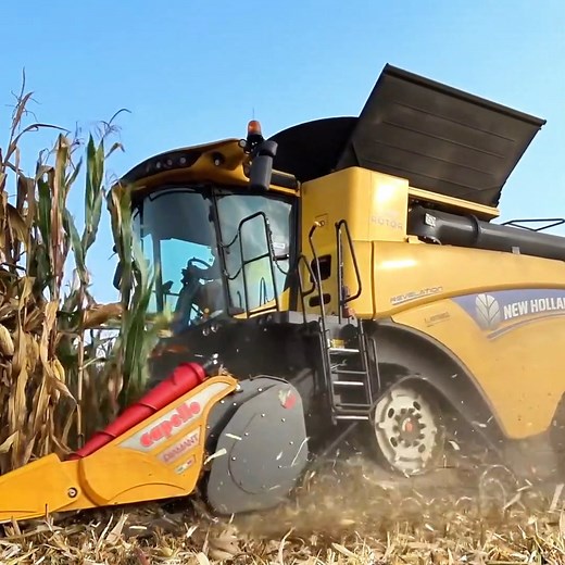 13K views · 168 reactions | New Holland combine harvester reel during today’s corn harvest | Big Machines | Facebook