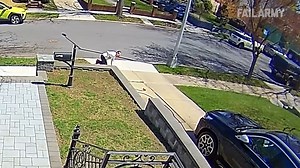 33K views · 382 reactions | Best Fails of the Week Funniest Fails Gone Wrong #funnyvideo #funny #funnymemes | Funny Memes & Videos | Facebook