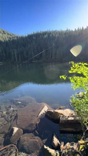 He's fishing the whole lake from the shore