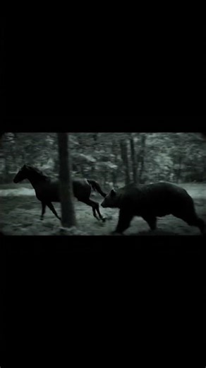 Terrifying Chase: Bear Charges After a Horse in the Wild!”