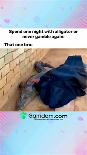 Koru X Hide on Instagram: "Don't Miss End ☠️ 🎂要怎麼不經意的讓另一半看到這篇文OO儀式感滿滿 ✨🍰蛋糕小熊蠟燭旋轉禮盒 🕯️嘿～閉上眼睛～許願吧✨希望你的願望會實現 (偷偷按下機關) 有我幫你準備的小驚喜唷🍰商品是蛋糕小熊機關盒 沒有附戒指💍禮物要自己準備唷 流行週邊好物推薦搜尋 ✨玩具公仔搜尋 🔍寵物週邊搜尋 🔎最新商品資訊請看限時動態精選 💌下單方式 🔜留言”+1; 小編火速回覆你下單資訊 🔜留言”+1; 小編火速回覆你下單資訊 可自行截圖商品私訊購買‼️ 付款方式 台灣地🇹🇼匯款、ATM轉帳 (可無摺)、街口支付 支持全球順豐配送 🌍微信、支付寶收款 國外配送約2週左右 因天氣、不可控因素可能延誤 能接受再下單 💌可詢問客服配送進度. #gamblingstrategy #casinotips #pokerstrategy #blackjacktips #casinoguides smartgambling bettingskills gamblerlife casinowisdom highstakesm