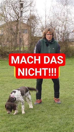 💥🐶 #dogencounters 👉 ERROR #1💥✔️