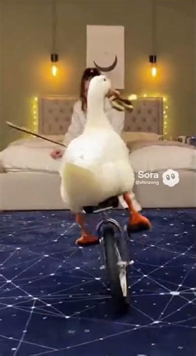 The duck is loud enough to start a noise complaint. #funny #cute #duck