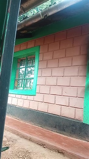 MOSES CAICEDO (@moses_obungu)’s videos with original sound - kisii caretaker