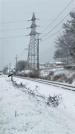 高山本線HC85系通過 #高山本線