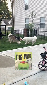 9.3M views · 327K reactions | TUG OF WAR  by Dusty Dubs : baharfaraj1 (TT) with license from Newsflare / Animation by Owen Fishback and Not All There ️of Dispatch Dog: Danielle Threet #voiceover #voiceovers #dog #dogs #husky #huskies #hamilton #tugofwar #dustydouglas #dustydubs | Dusty Dubs | Facebook