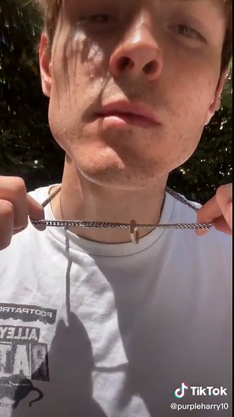 Purpleharry10 on TikTok