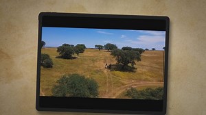 Horse Riding Skills Checklist