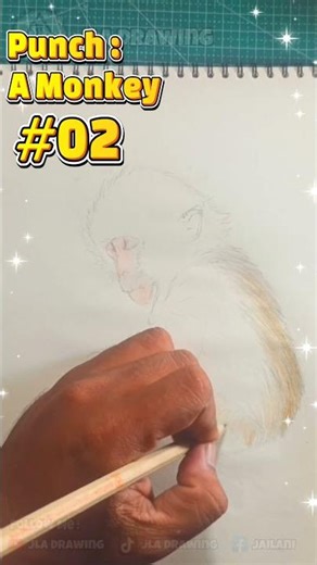 How to draw a punch monkey abandoned by its mother part 2 #art