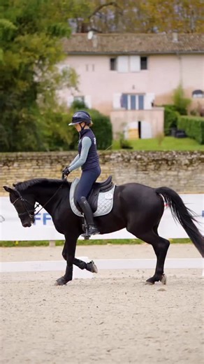 Entraînement avec GQ 🩵 j’ai hâte de retourner en compétition avec mes deux chevaux au printemps, et surtout de voir ce que ça donne avec GQ 🤩 on profite de l’hiver pour avancer dans le travail et progresser avant de renfiler les pantalons blancs ✨ #equestrian #equitation #caballo #dressage #cheval | Mathilde & Sligo