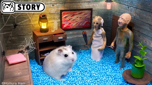 What is it? Why is my funny hamster stuck in a creepy house AGAIN? My hamster needs to escape from Granny! The tiny hamster darted around corners, under furniture, and went through doors to avoid meeting his big enemy... #hamsters #hamstermaze #hamstercourse #hamsterlabyrinth #scaryhamstermaze | Homura Ham