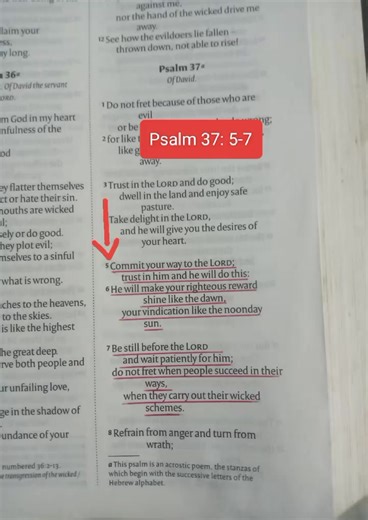 #AnchoredInChrist #bibleverseoftheday #biblestudy | Anchored in Christ