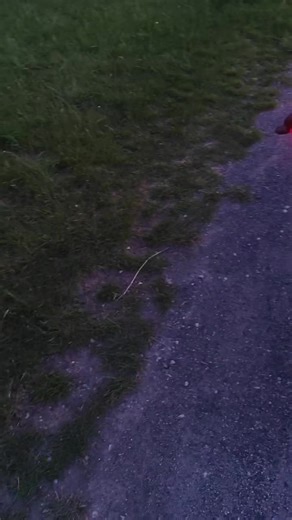 @PlateSnap #bikelife #125cc #supermoto #aprilia #apriliasx #motorcycle #fy #fyp #viral #viralvideo #CapCut