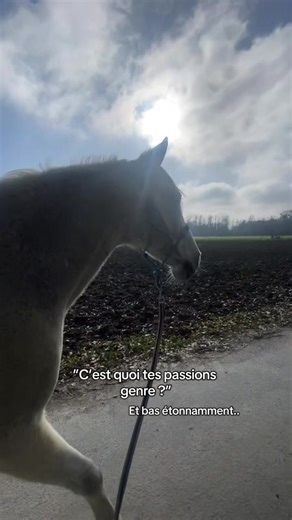 Désolé mon poney ❤️‍🩹🥺