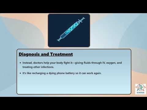 Ebola Virus Disease Explained Causes, Symptoms and Treatment, All Insights