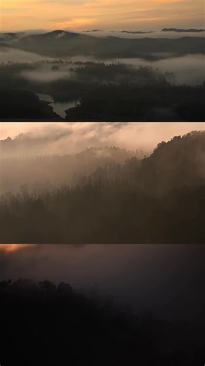 Shaaz Jung on Instagram: "I’ve been to the top of the mountain, I’ve seen how the mist reveals the ancient canopy, I’ve sat by the waters, Chased first light, Uncovered her secrets, And learned from the indigenous Each scene of three frames represent each line above. What an extraordinary year it has been. Onto the next. Captured with the #OnePlus13 and #OnePlus15 #ShotonOnePlus #shaazjung #mountains"