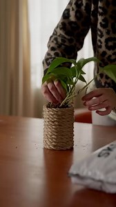 Kalder alle handymænd og kvinder! 󾓊 Er DU klar til lidt gør-det-selv-sjov? 󾍇 Følg med her, når Torben viser dog hvordan du bygger din helt egen plantekasse 󾮚󾠈 Når kassen er bygget, skal den selvfølgelig fyldes! Se vores aktuelle tilbud her: http://bit.ly/Blomstertilbud | SILVAN