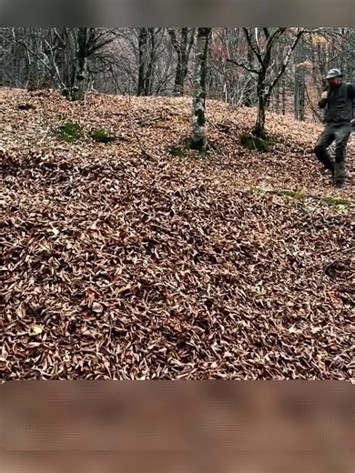 Exploring the Science Behind Popular Magic Tricks