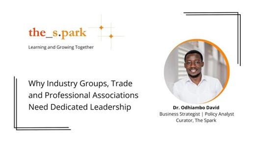 Why Industry Groups, Trade and Professional Associations Need Dedicated Leadership | Dr David O. Odhiambo